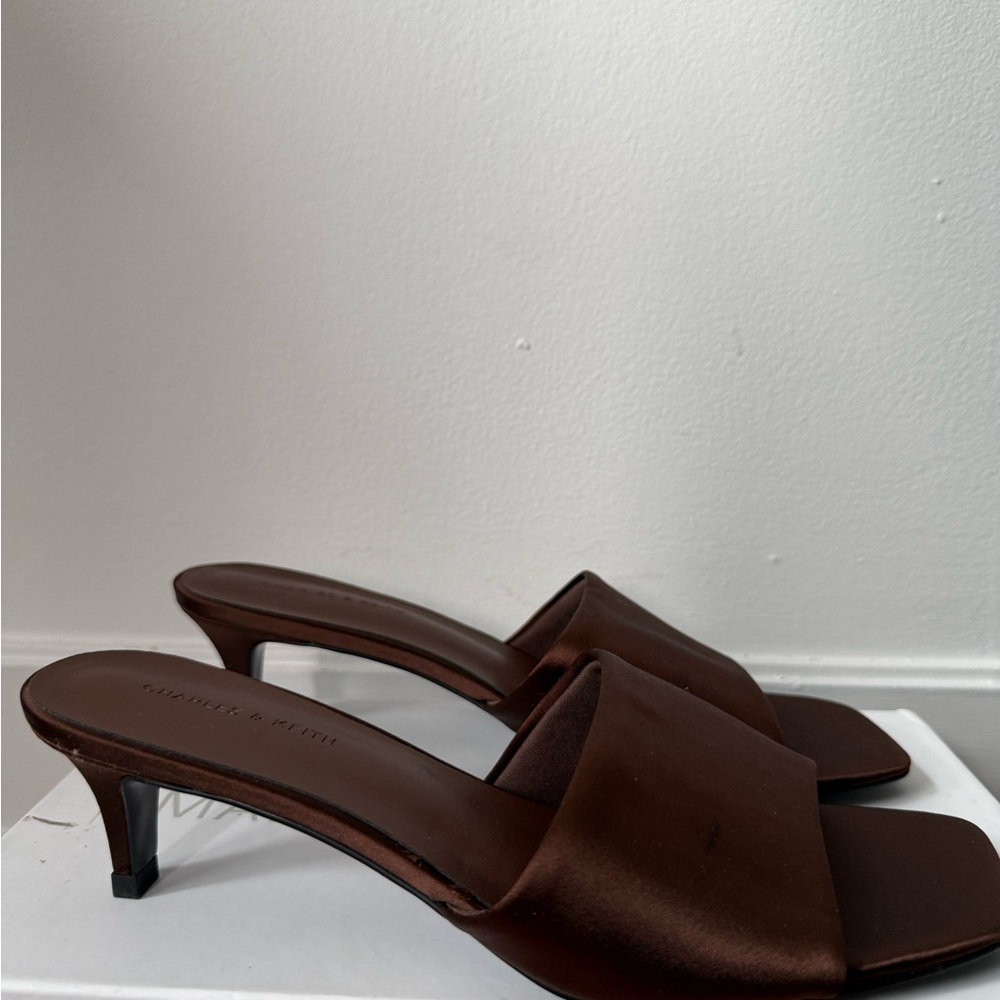 Charles & Keith Dark Brown Satin Slide Mules